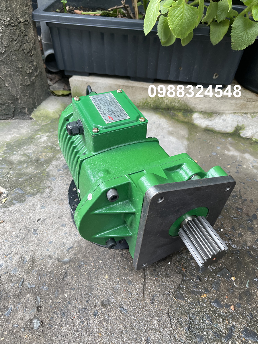 Motor dầm biên ITS 0.75Kw CH-H-100 / 0.75Kw ITS Geared Motor