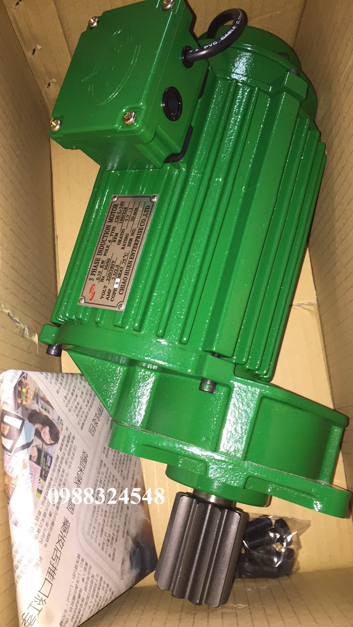 Motor dầm biên ITS 0.75kw CH-L-100